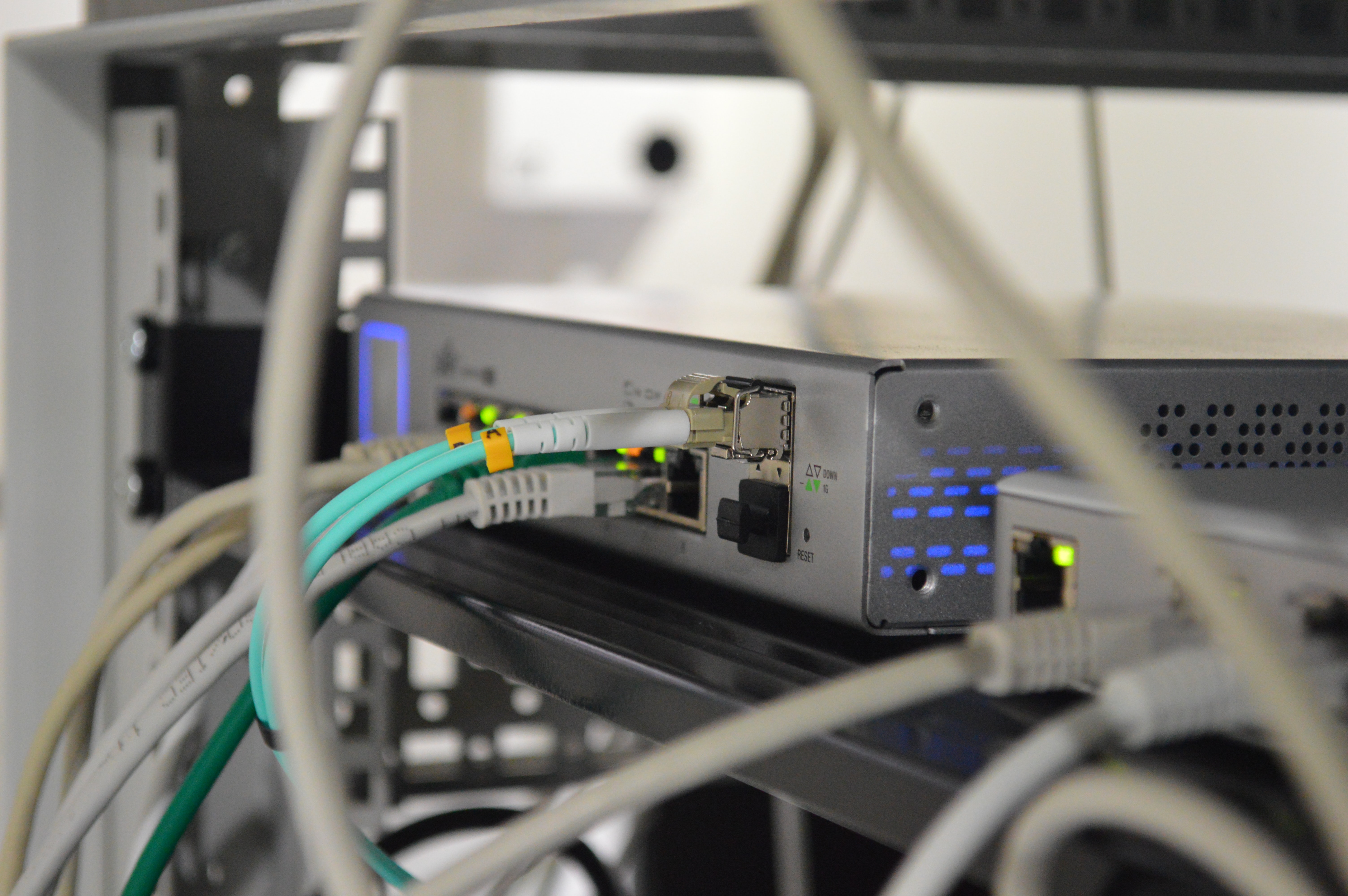 Network and WiFi Protection